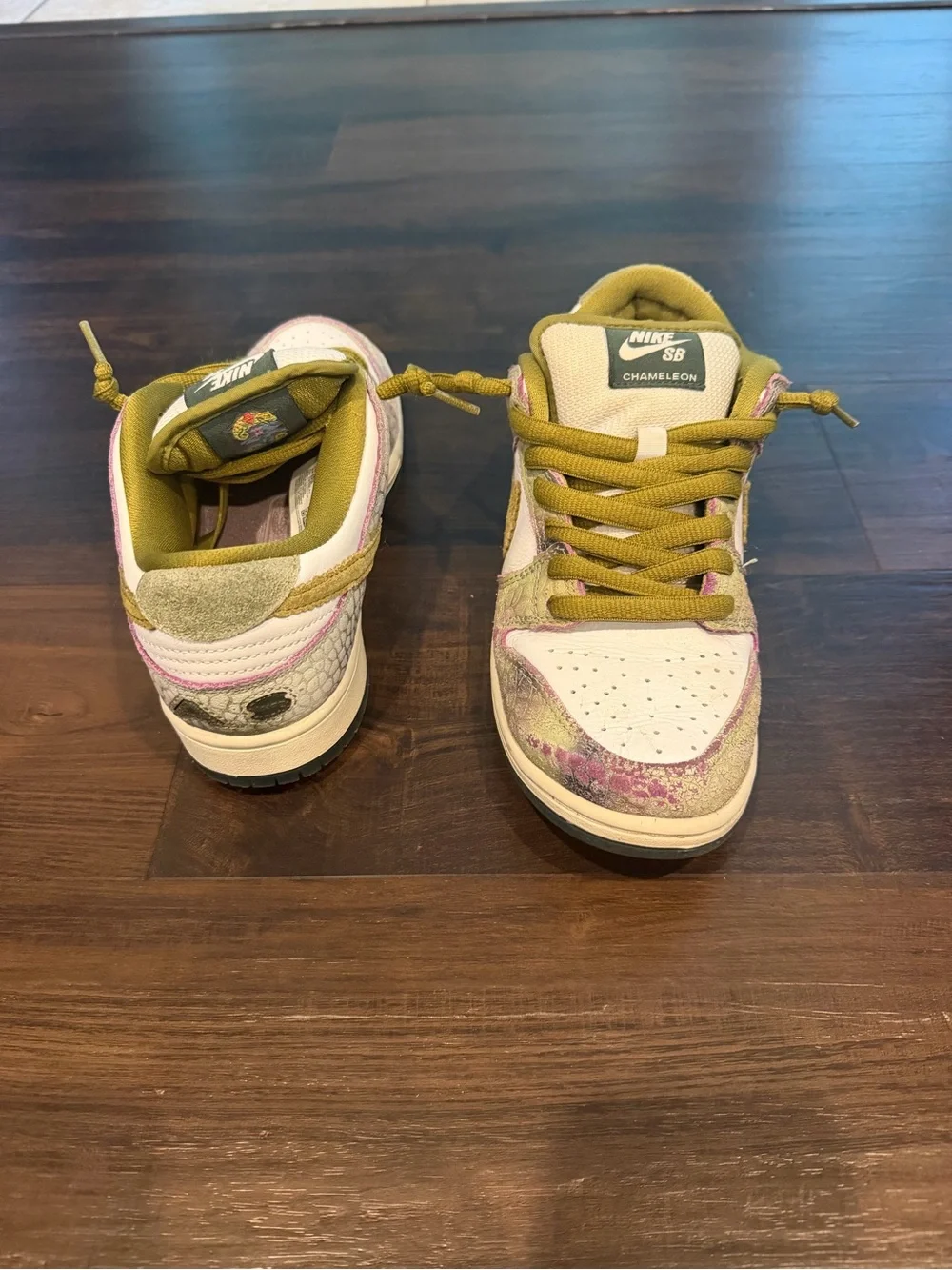 Nike SB Dunk Low Pro Chameleon HJ3386-300 Women’s 6.5 Men’s 5